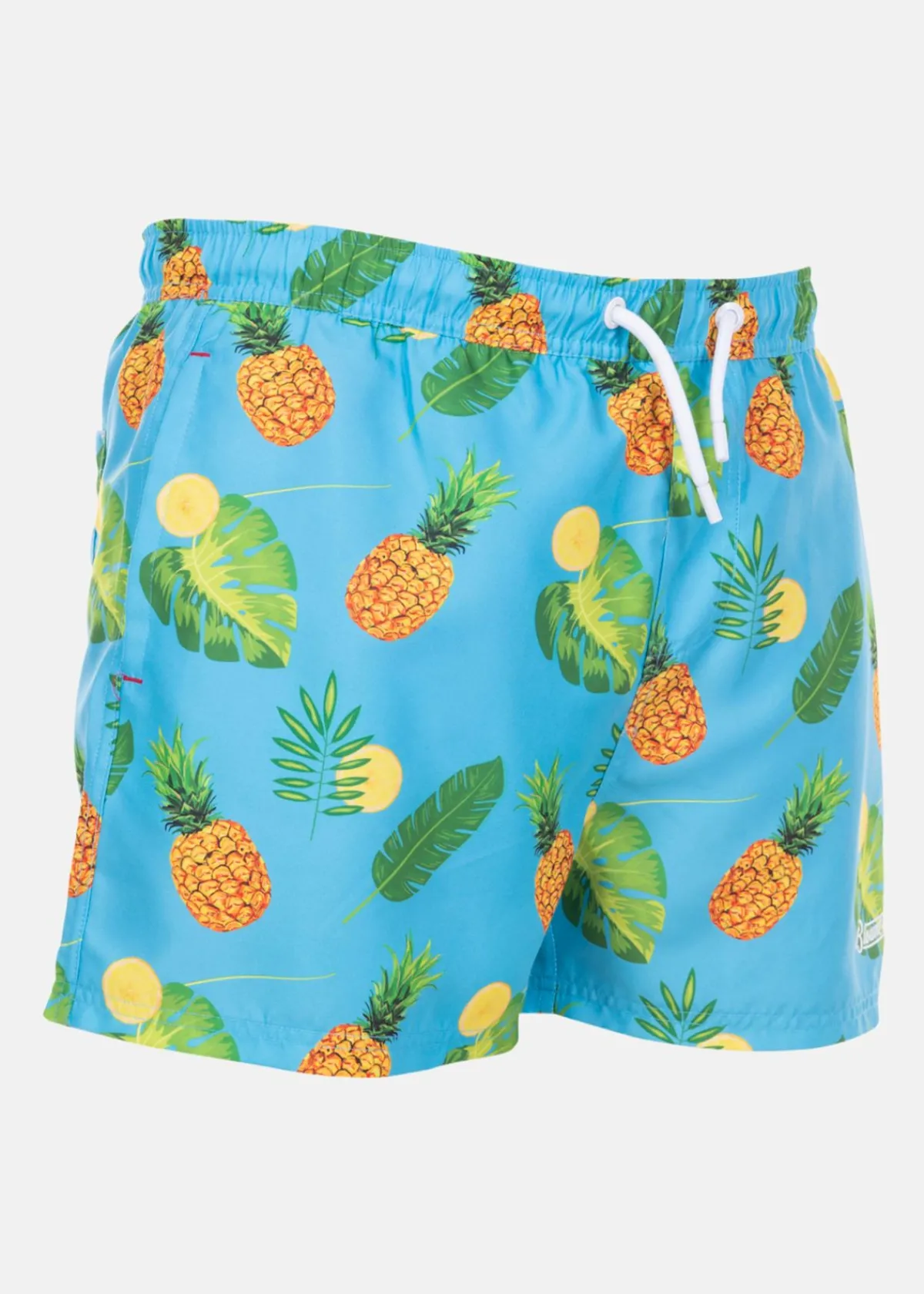 Blount & Pool Beachshorts