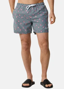 Blount & Pool Beachshorts
