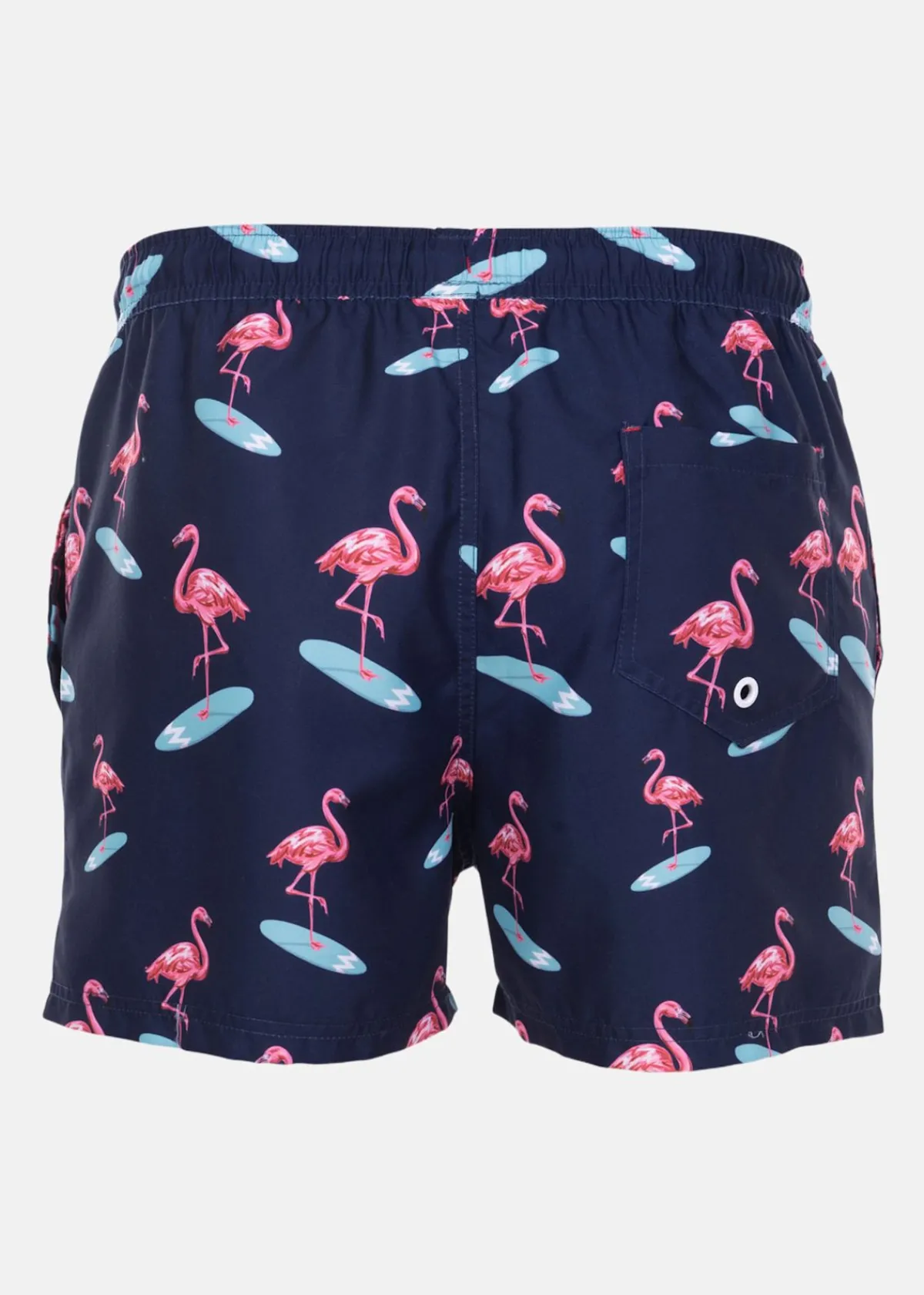 Blount & Pool Beachshorts