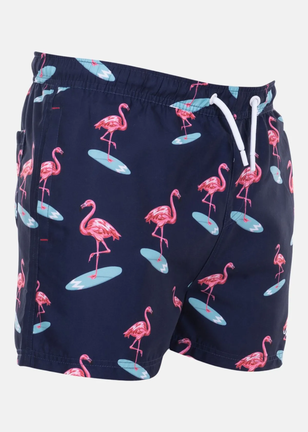 Blount & Pool Beachshorts