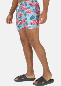 Blount & Pool Beachshorts