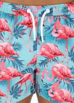 Blount & Pool Beachshorts