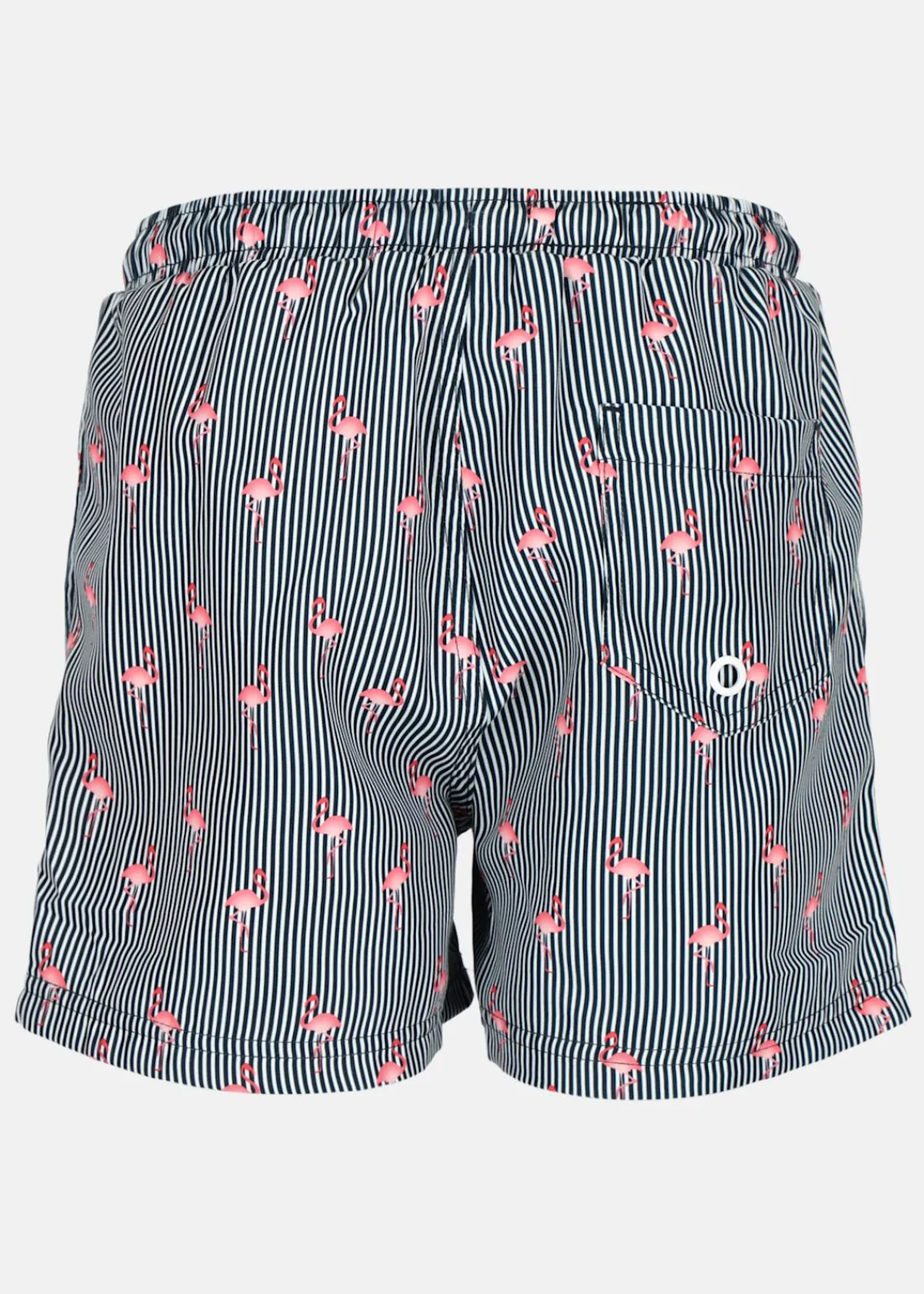 Barn Blount & Pool Beachshorts JR