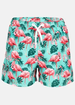 Barn Blount & Pool Beachshorts JR