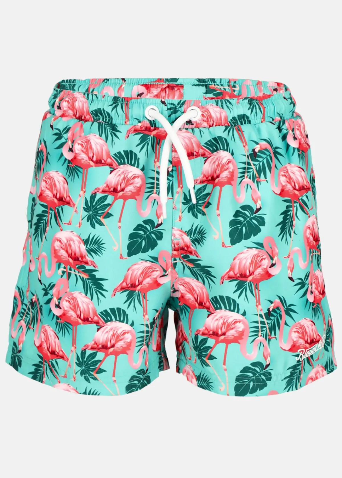 Barn Blount & Pool Beachshorts JR