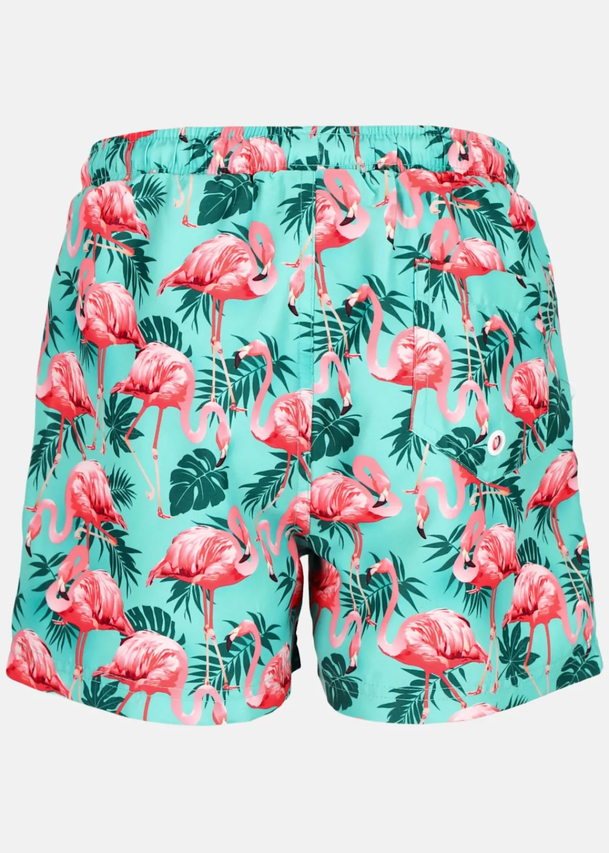 Barn Blount & Pool Beachshorts JR