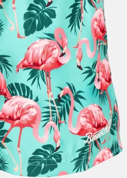 Barn Blount & Pool Beachshorts JR