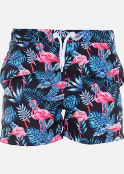 Barn Blount & Pool Beachshorts JR
