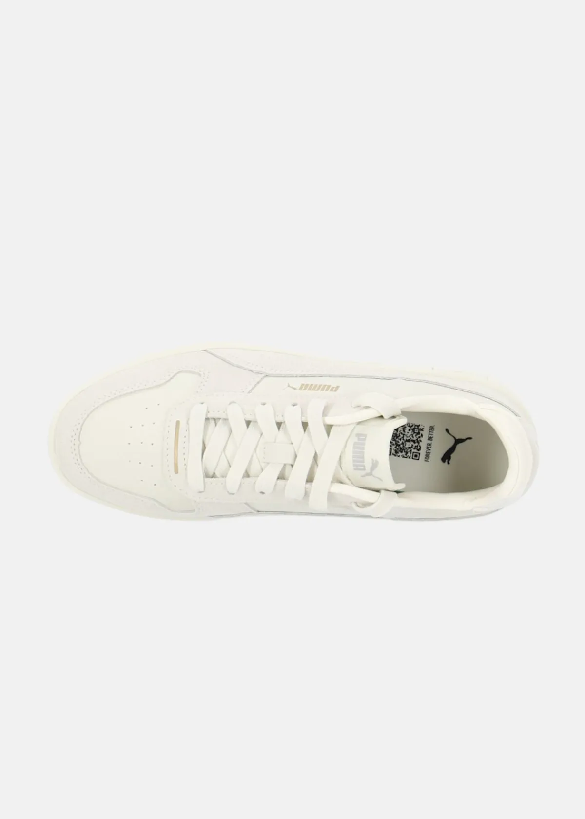 Puma Carina Street SD