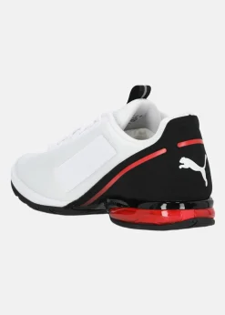 Puma Cell Divide