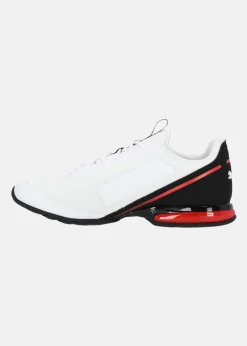 Puma Cell Divide
