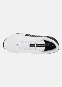 Puma Cell Divide
