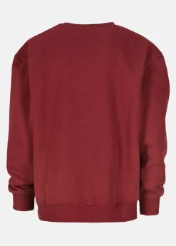 Barn X-trail College Sweater JR