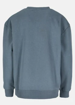Barn X-trail College Sweater JR