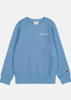 Barn Champion Crewneck Sweatshirt