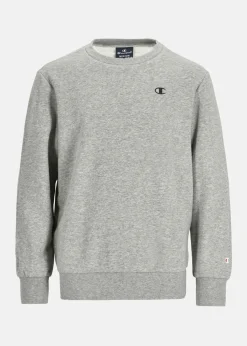 Barn Champion Crewneck Sweatshirt