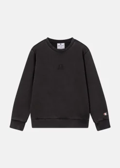 Barn Champion Crewneck Sweatshirt