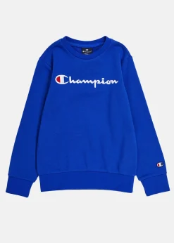 Barn Champion Crewneck Sweatshirt