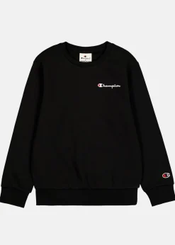 Barn Champion Crewneck Sweatshirt