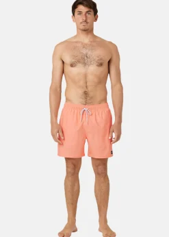 Rip Curl DAILY VOLLEY