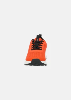 Swedemount Denver Running Men's Shoe