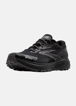 Brooks Divide 5 GTX