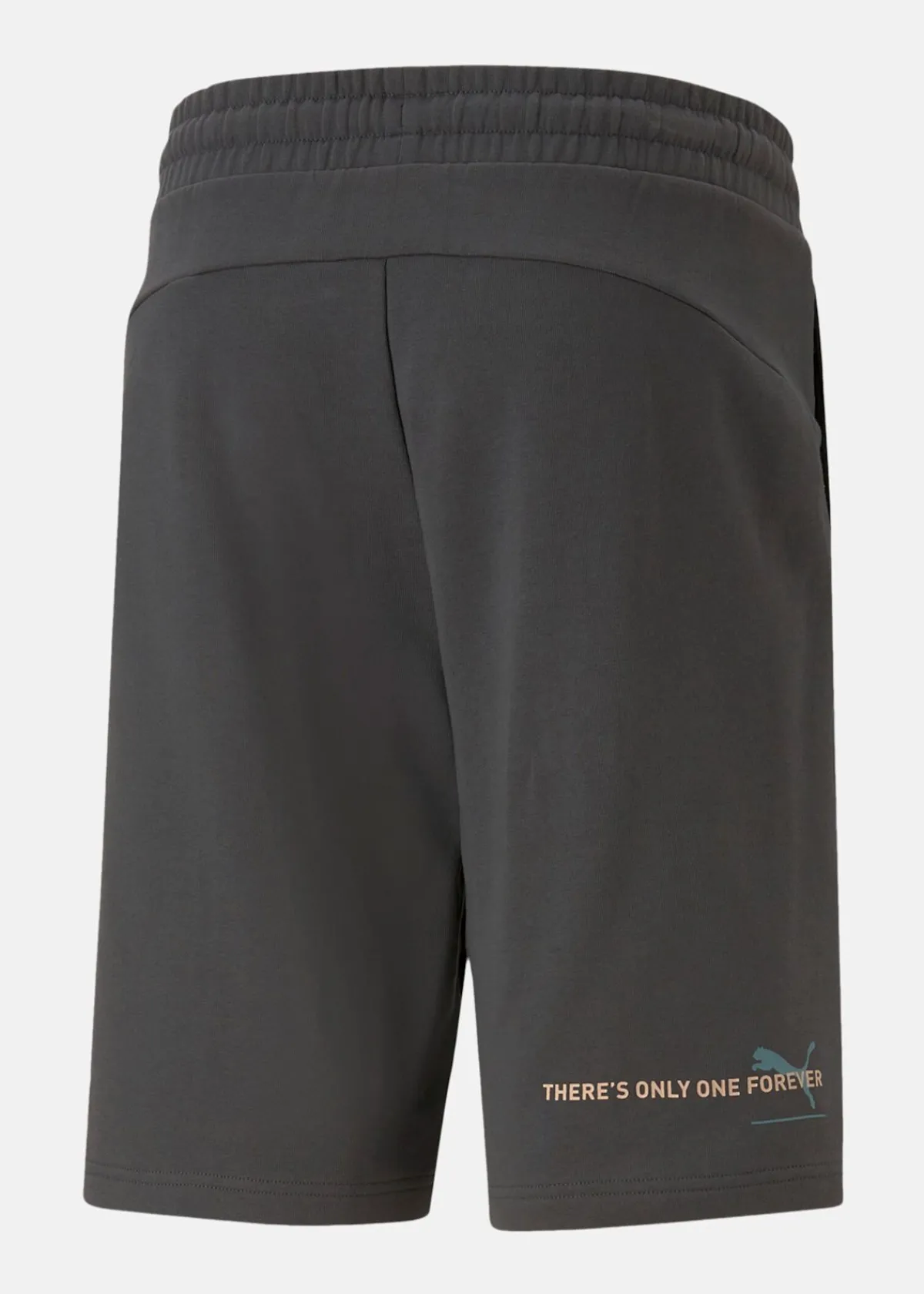 Puma ESS BETTER Shorts 10" TR