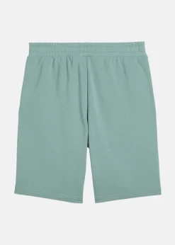 Puma ESS No. 1 Logo Shorts 10
