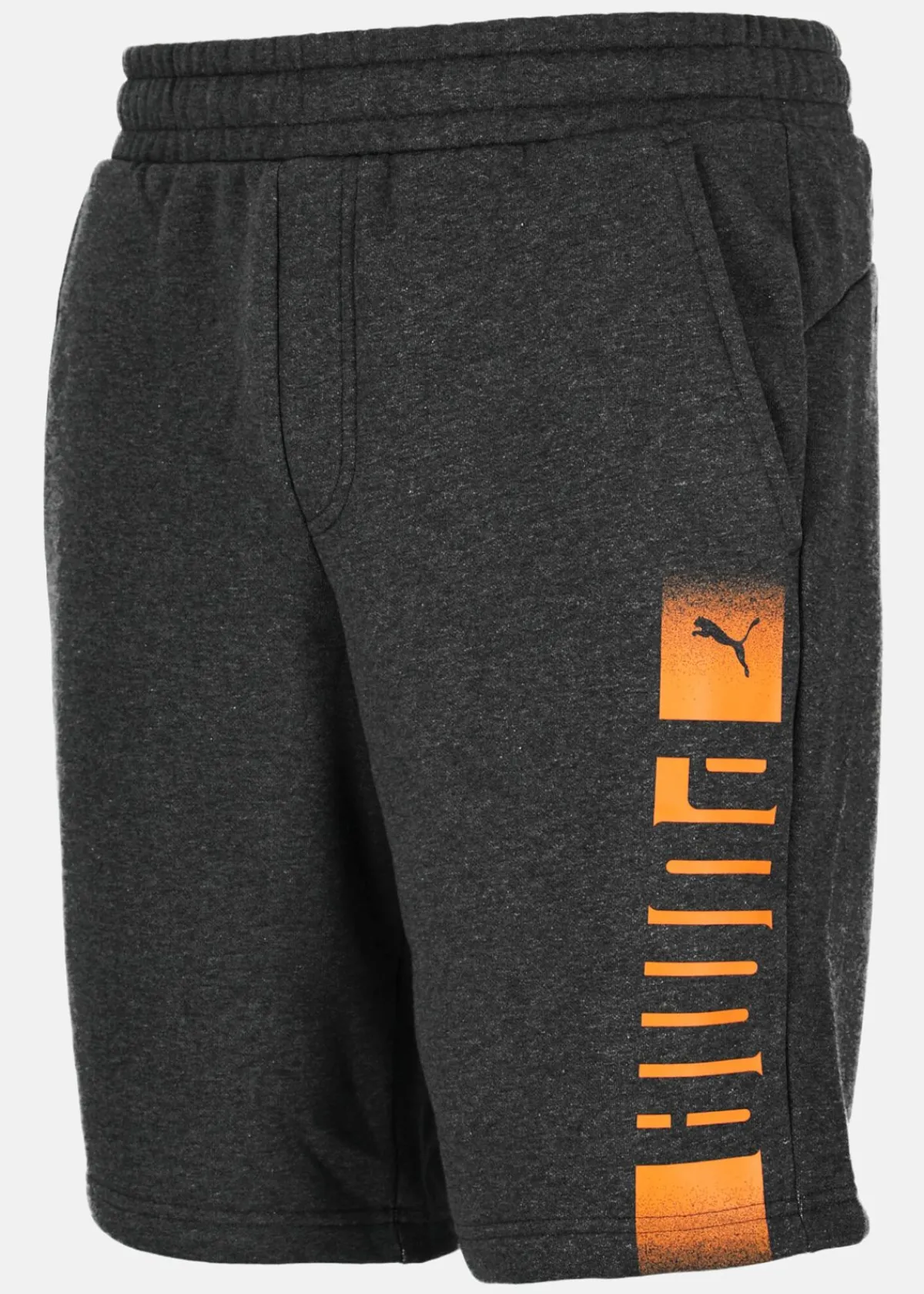 Puma ESS Rebel Shorts 10" FL