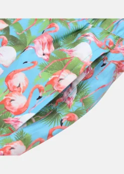 Barn Blount & Pool Flamingo Beachshorts JR