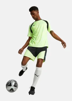 Puma FUTURE PRO FG/AG