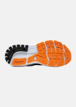 Brooks Ghost 16