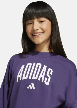 Barn Adidas JG CLGT FT SWT