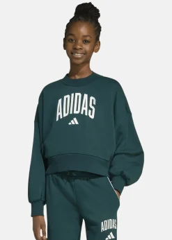 Barn Adidas JG CLGT FT SWT