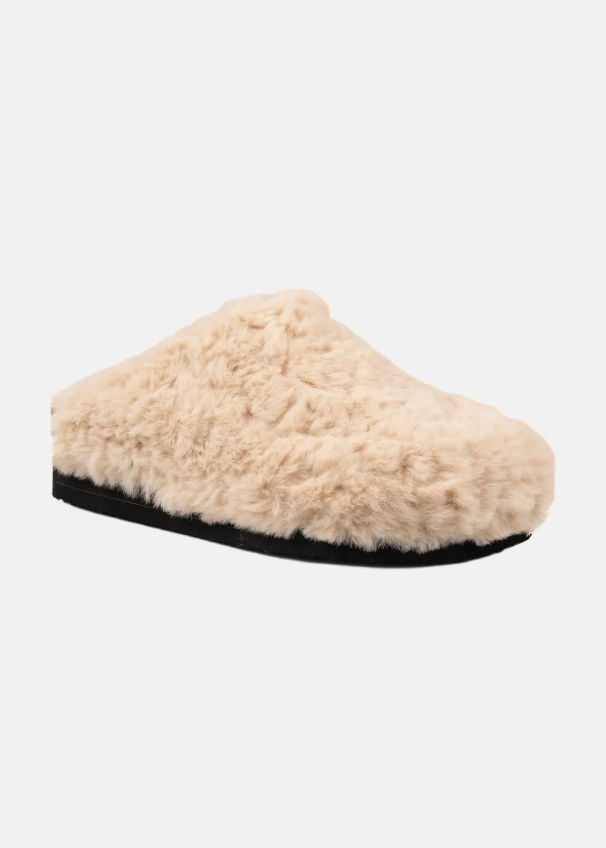 Exani JOY W
