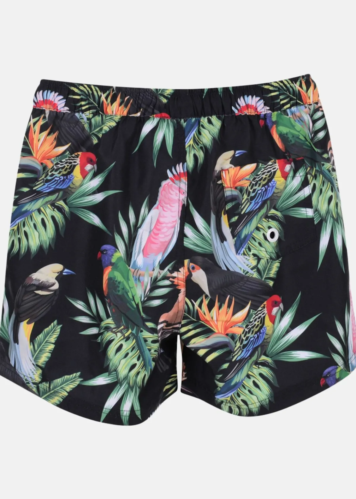 Barn Blount & Pool Kakadua Beachshorts JR