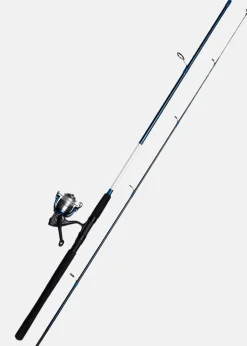 Kinetic FANTASTICA CC