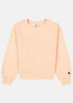 Barn Champion Rochester Crewneck Sweatshirt Jr