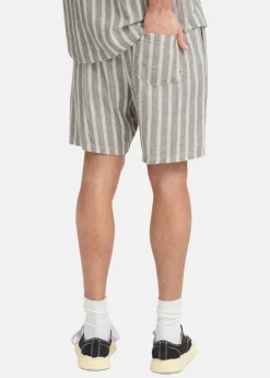 Solid SDFried Short