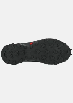 Salomon SHOES ALPHACROSS 4 GTX W Black
