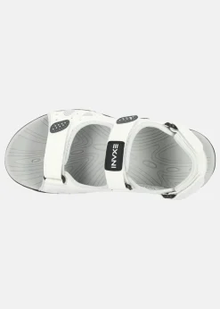 Exani SPIDER PRO W