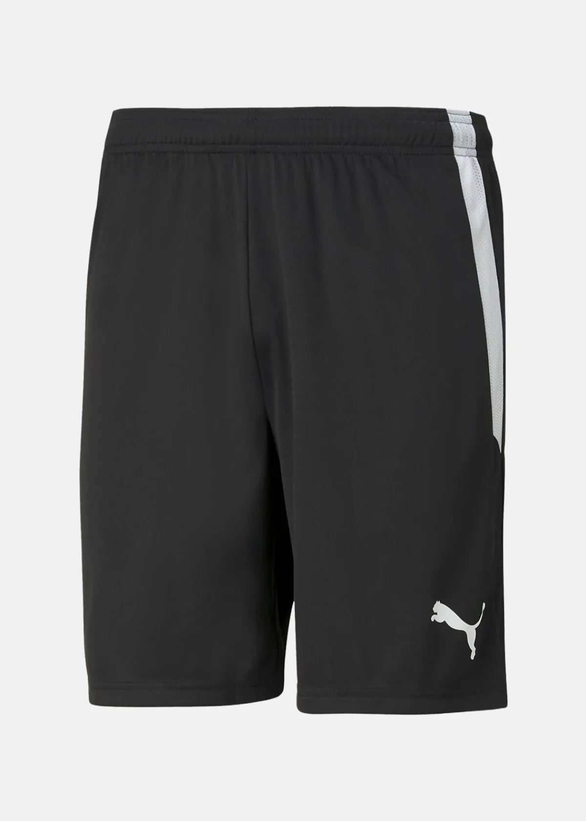 Puma teamLIGA Shorts