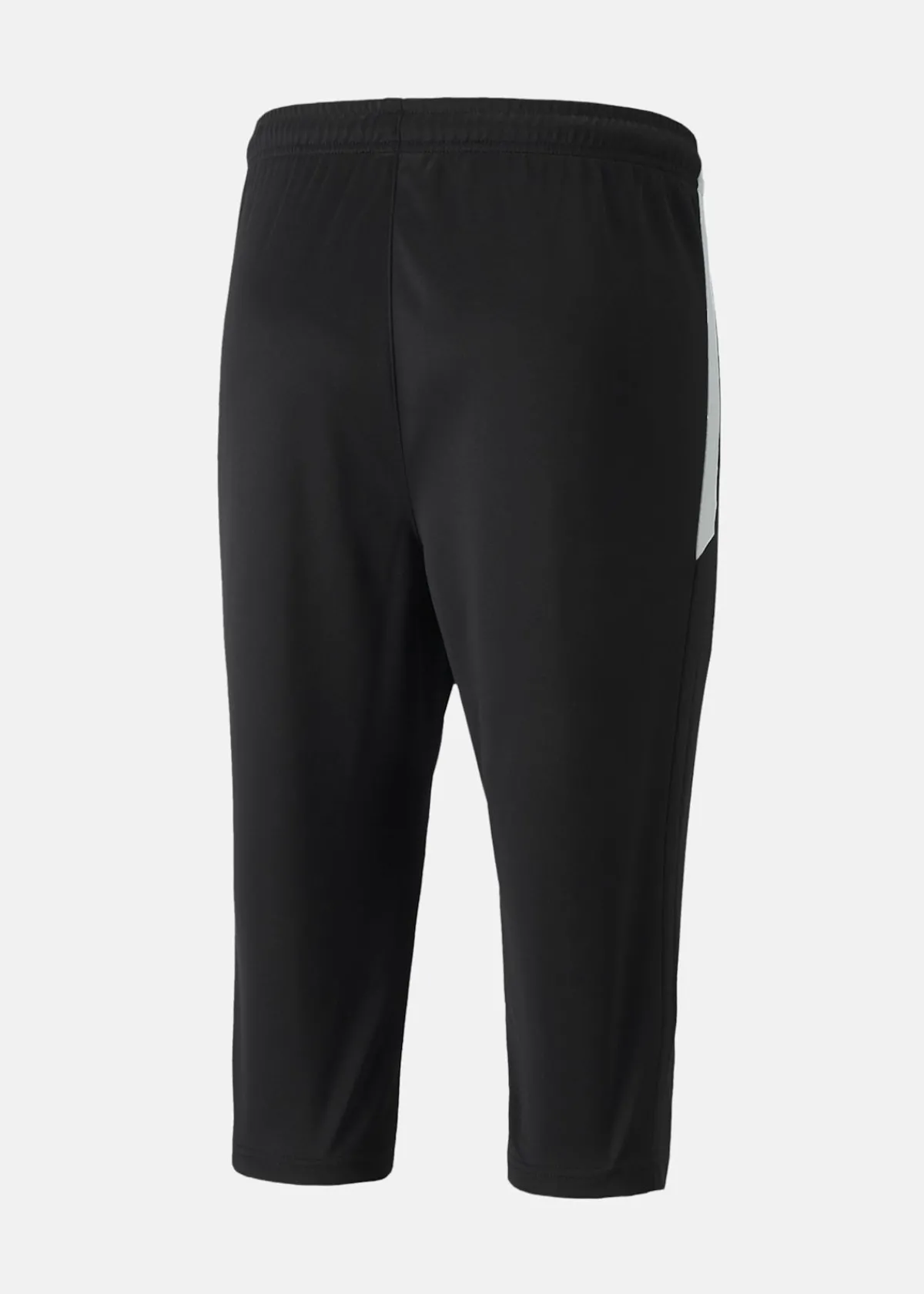 Puma teamLIGA Training 3/4 Pants