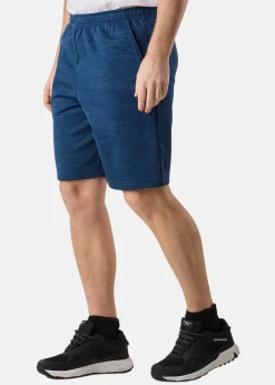 Swedemount Training Logo Shorts II