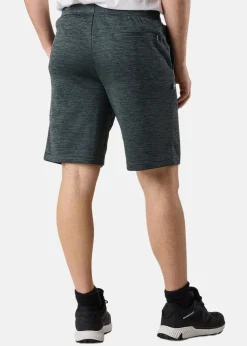 Swedemount Training Logo Shorts II