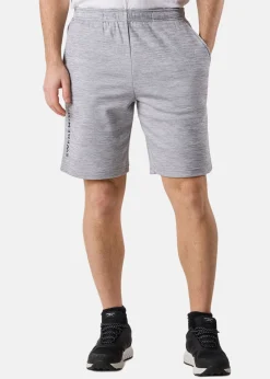 Swedemount Training Logo Shorts II