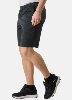 Swedemount Training Logo Shorts II
