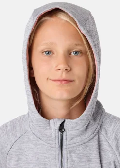 Barn Swedemount Training Logo Zip Hood JR II