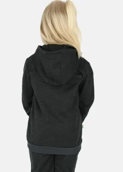 Barn Swedemount Training Logo Zip Hood JR