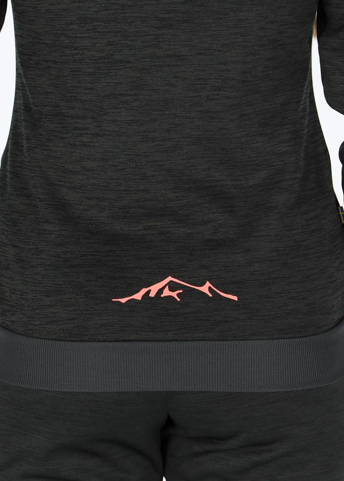 Swedemount Training Logo Zip hood W